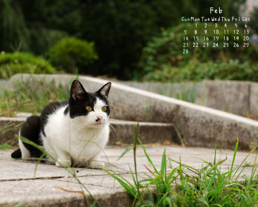 402390 (a): :1280x1024